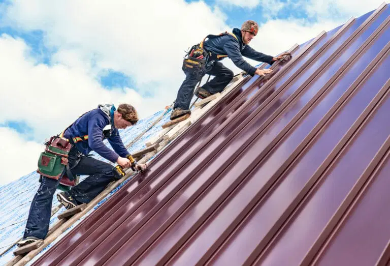Two roofers installing burgundy metal roofing on a steep slope with safety harnesses.